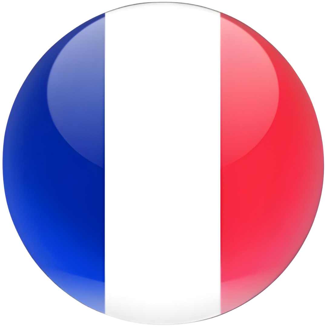 Bandeira representando o idioma Francês
